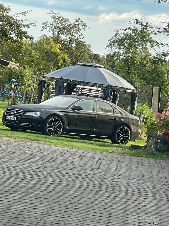 Audi, stop lekki