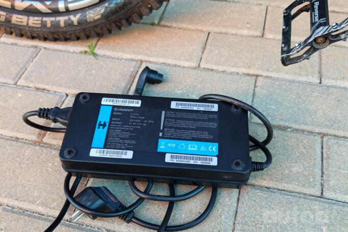 Giant Reign E+ 2 Pro