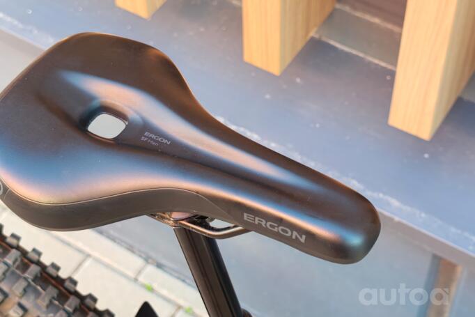 Giant Reign E+ 2 Pro