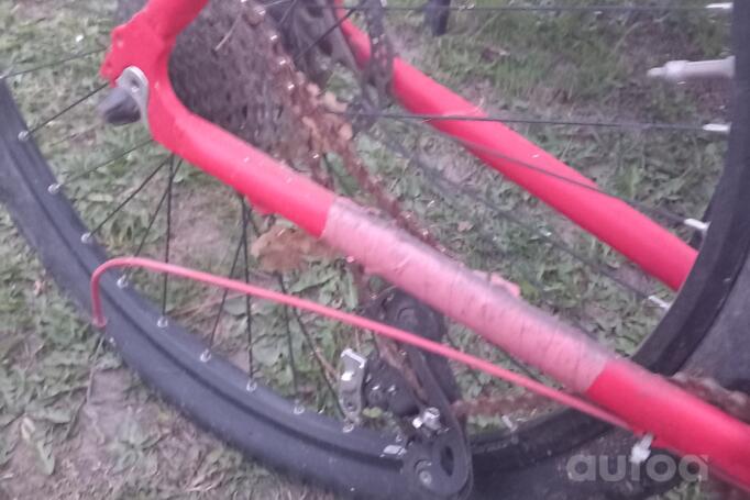 Mtb Nk