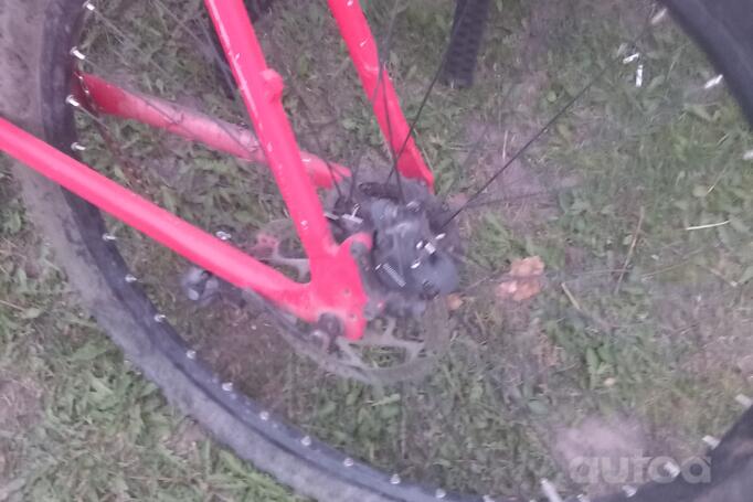 Mtb Nk