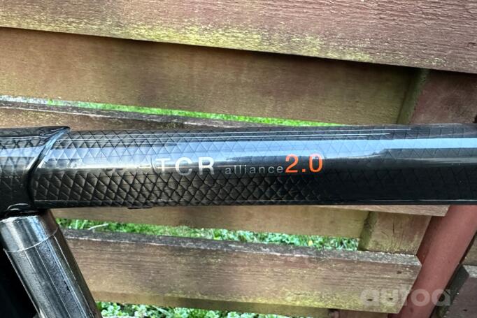 Giant Tcr Alliance 2.0