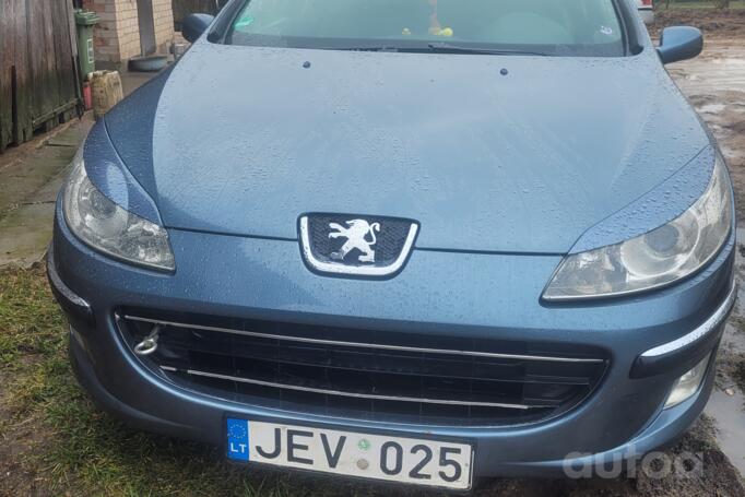 Peugeot 407 1 generation wagon