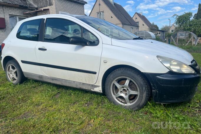 Peugeot 307 1 generation Hatchback 3-doors