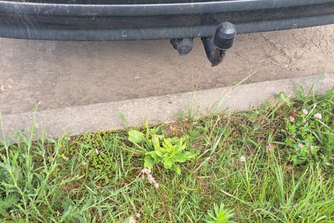 Volvo V70 3 generation wagon