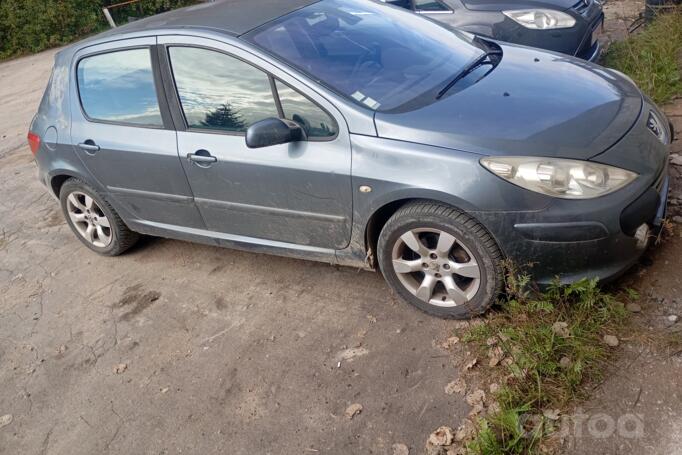 Peugeot 307 1 generation Hatchback 5-doors
