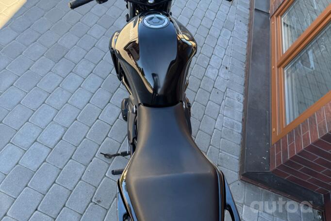 Kawasaki ER-6n