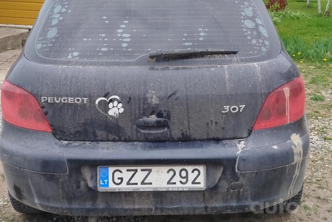 Peugeot 307 1 generation Hatchback 5-doors