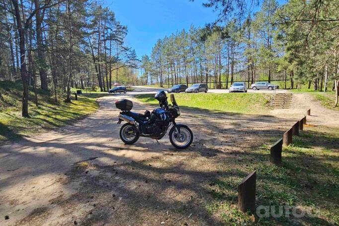 Triumph Tiger