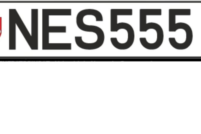 NES555