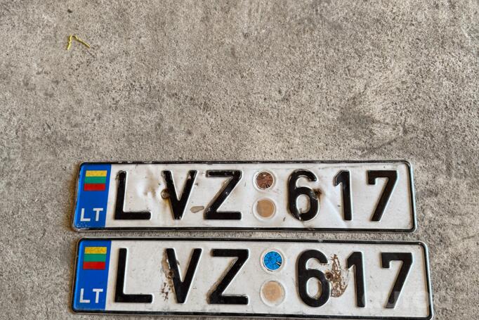 LVZ617