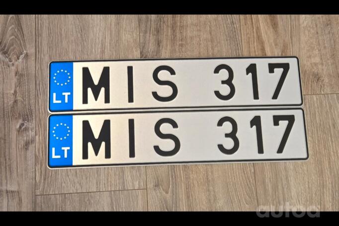 MIS317