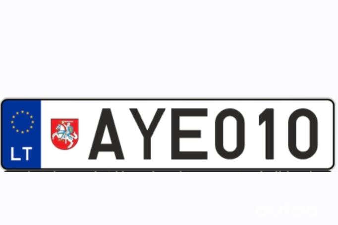 AYE010