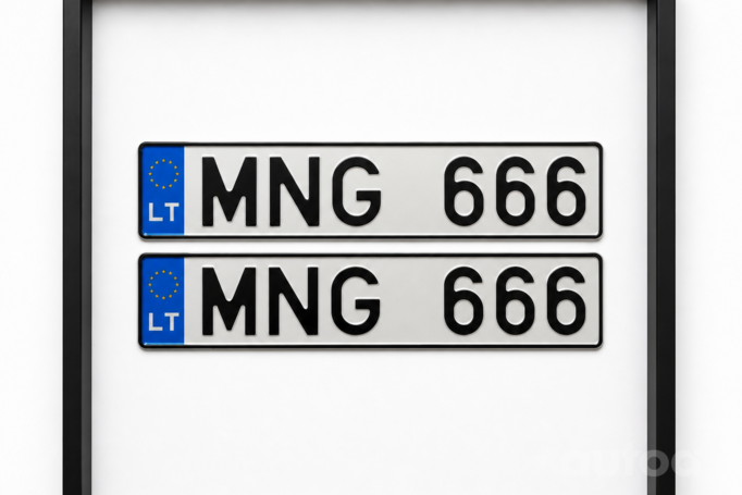 MNG666