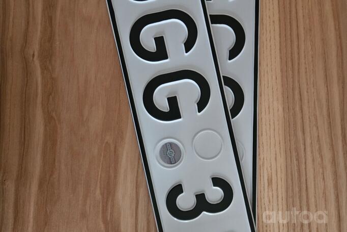 GGG311