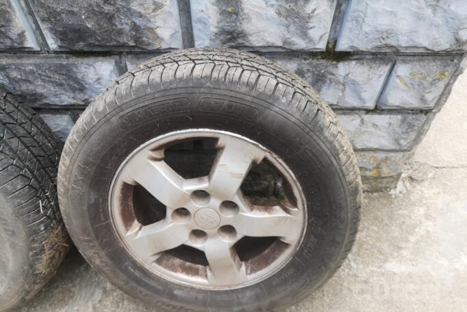 Kia, stop lekki