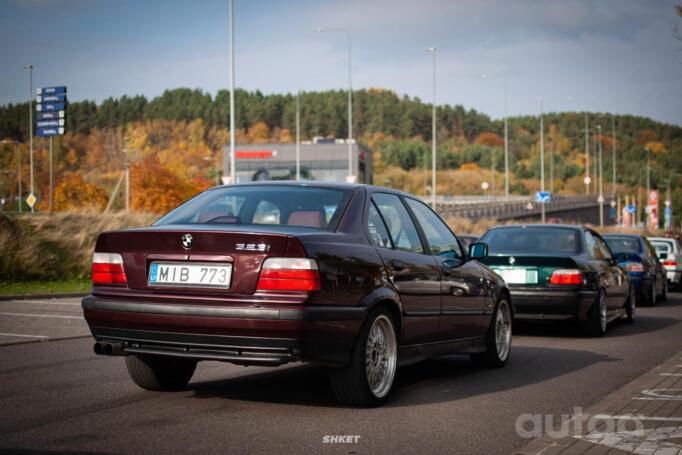 Bbs (replikos), stop lekki