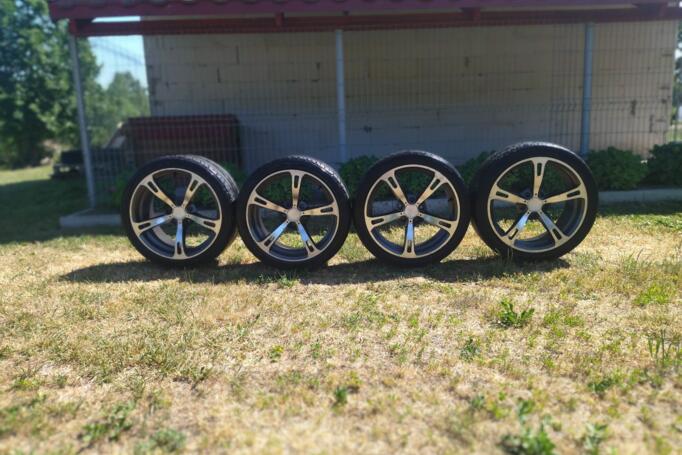 Schnitzer, stop lekki