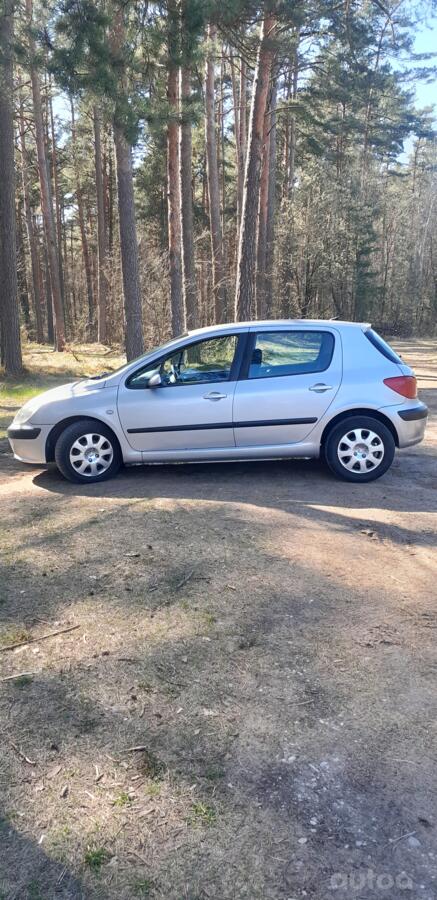 Peugeot 307 1 generation Hatchback 5-doors