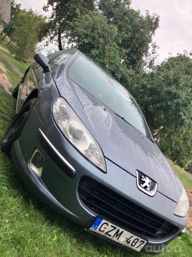 Peugeot 407 1 generation Sedan