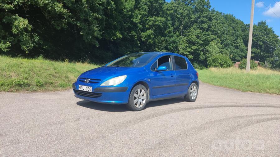 Peugeot 307 1 generation Hatchback 5-doors