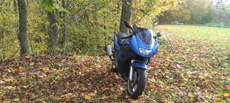 Suzuki RF