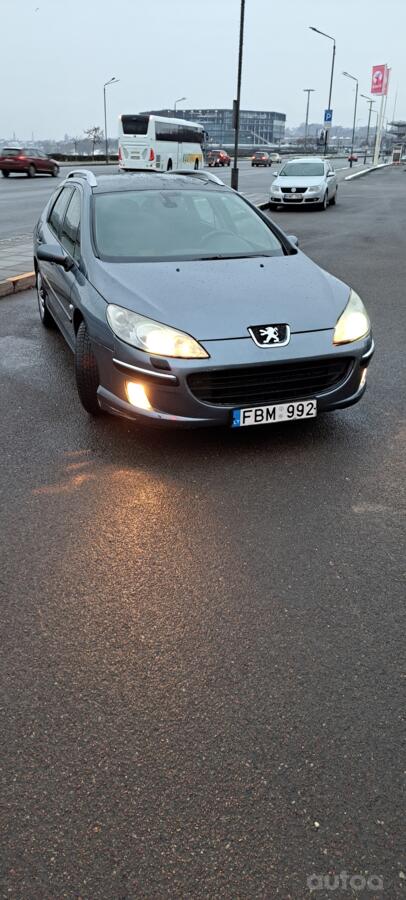 Peugeot 407 1 generation wagon
