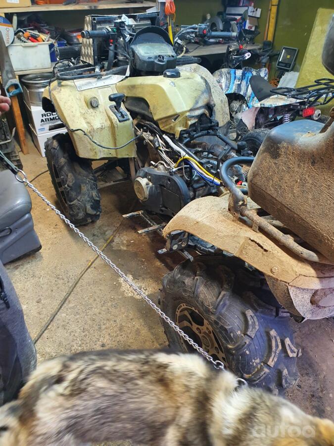 Cfmoto CFORCE