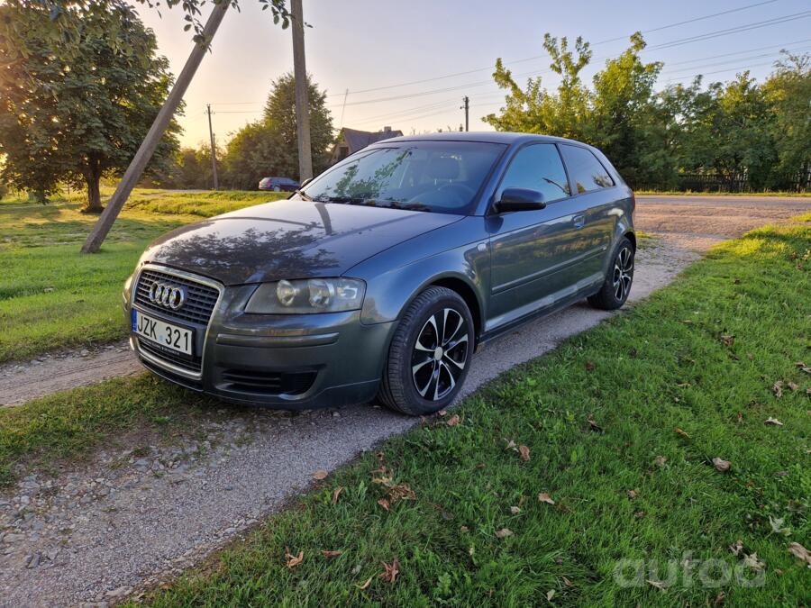 Audi A3 8P Hatchback 3-doors