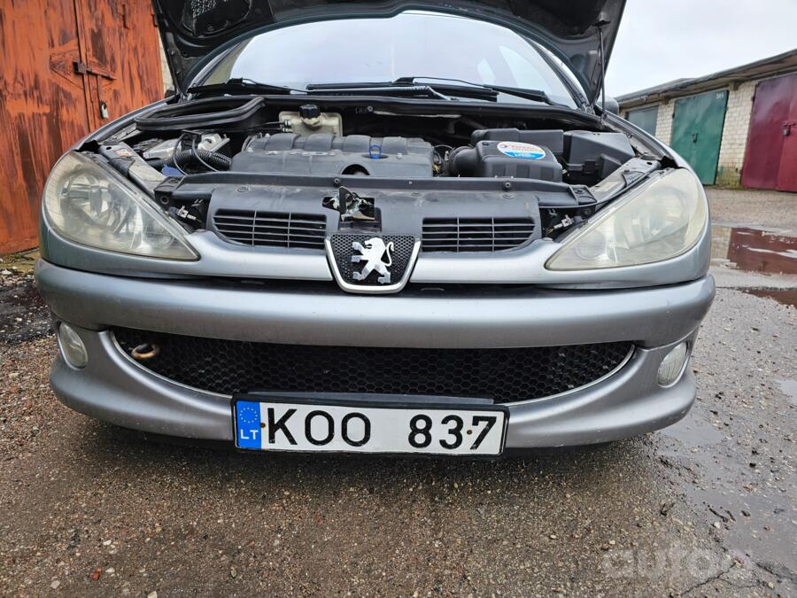 Peugeot 206 1 generation [restyling] wagon 5-doors