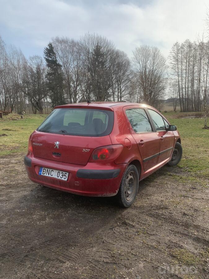 Peugeot 307 1 generation Hatchback 5-doors