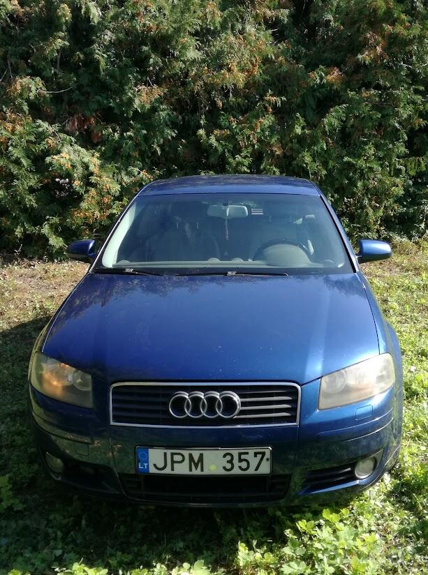 Audi A3 8P Hatchback 3-doors