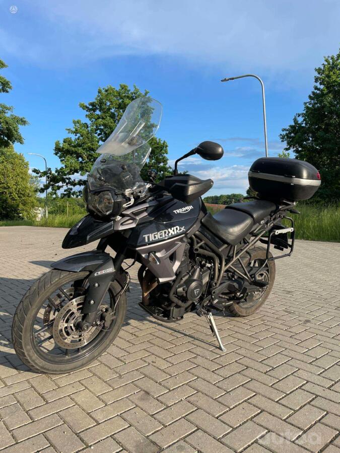 Triumph Tiger