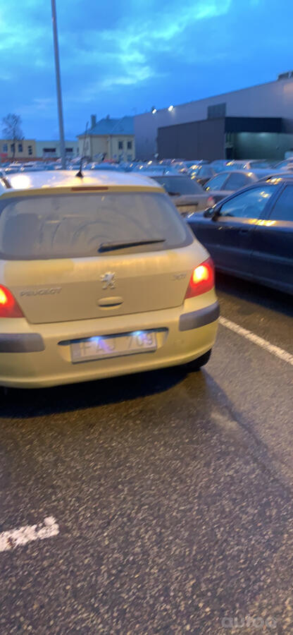 Peugeot 307 1 generation Hatchback 3-doors