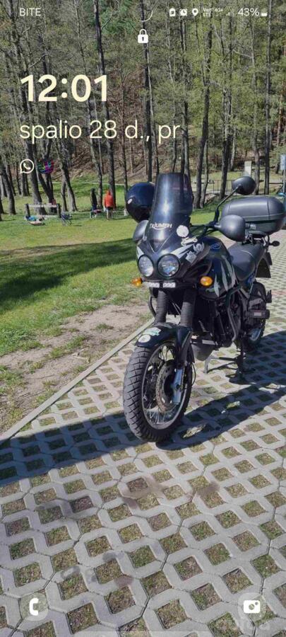 Triumph Tiger