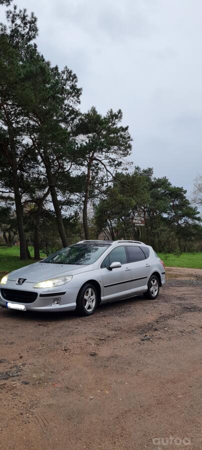 Peugeot 407 1 generation wagon