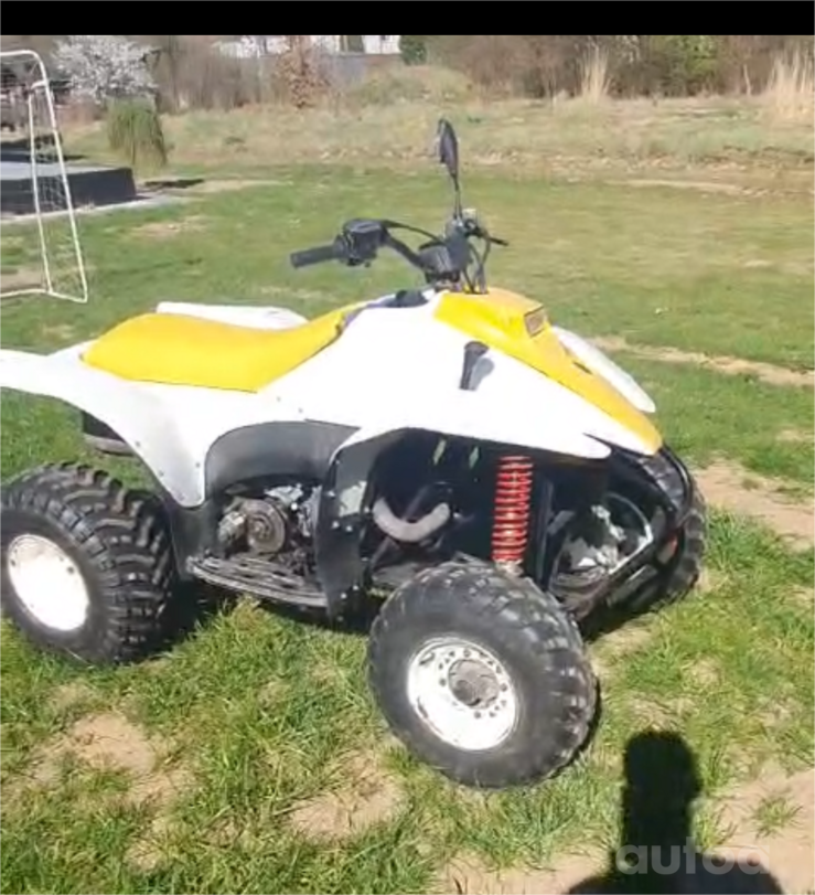 Polaris Trail Blazer