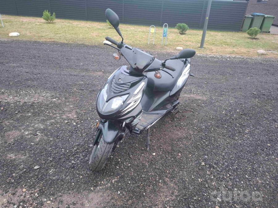 Longjia Caper 50