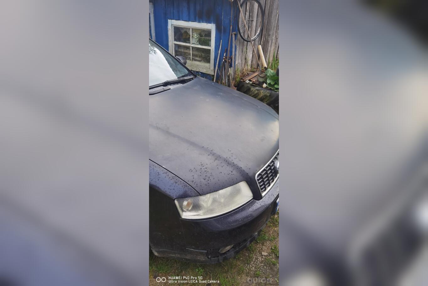 Audi A4 B6 Sedan