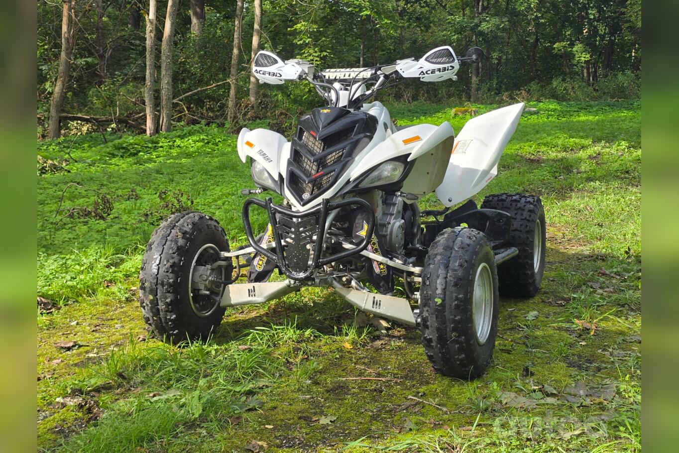 Yamaha Raptor