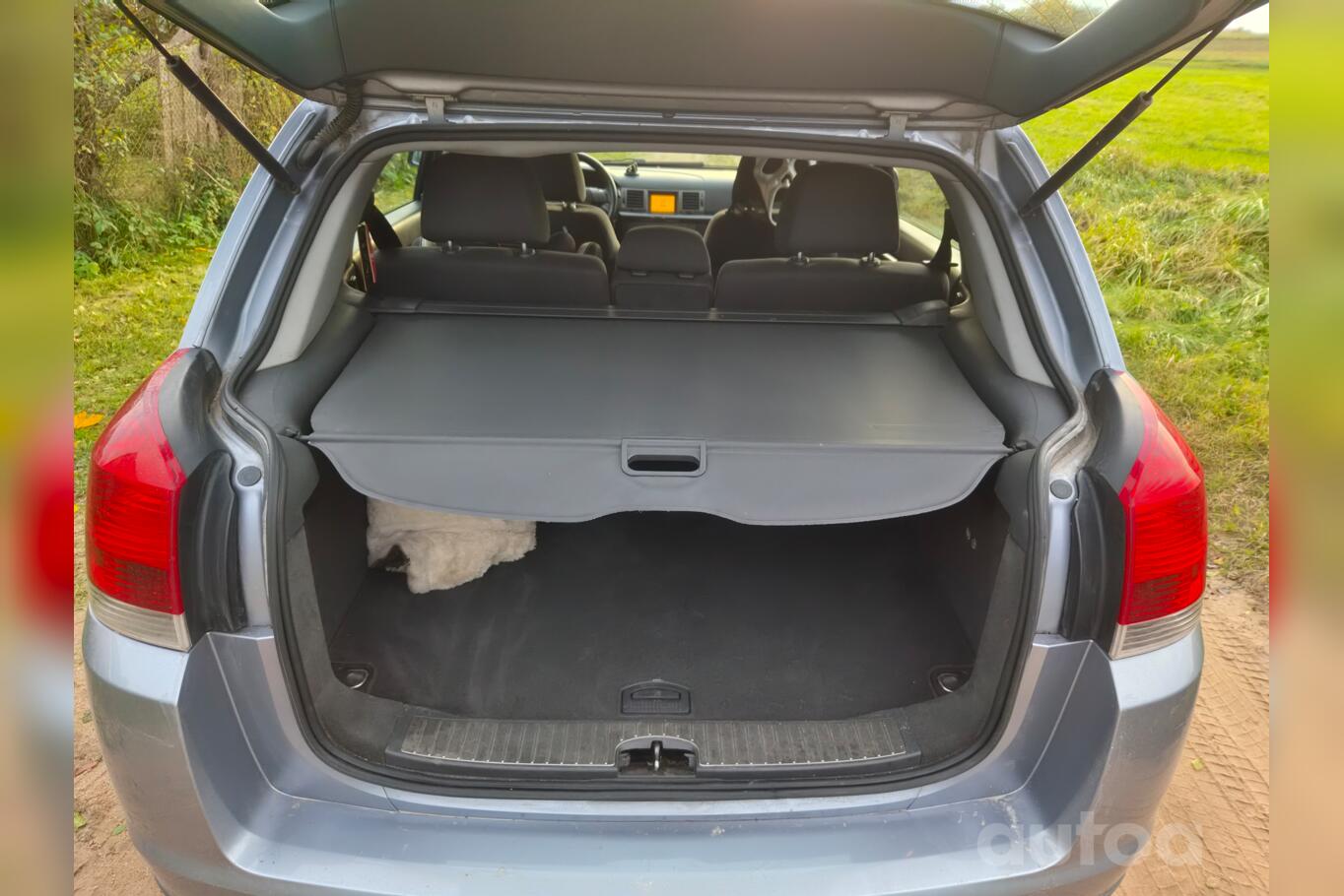 Opel Signum C Hatchback