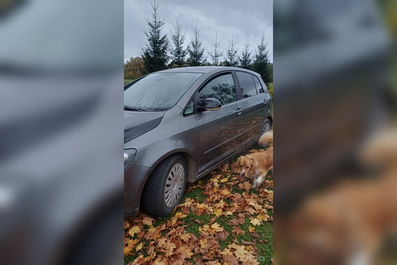 Volkswagen Golf Plus 1 generation