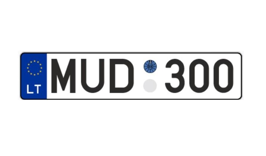 MUD 300