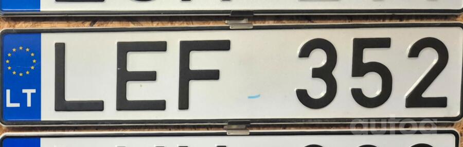 LEF 325