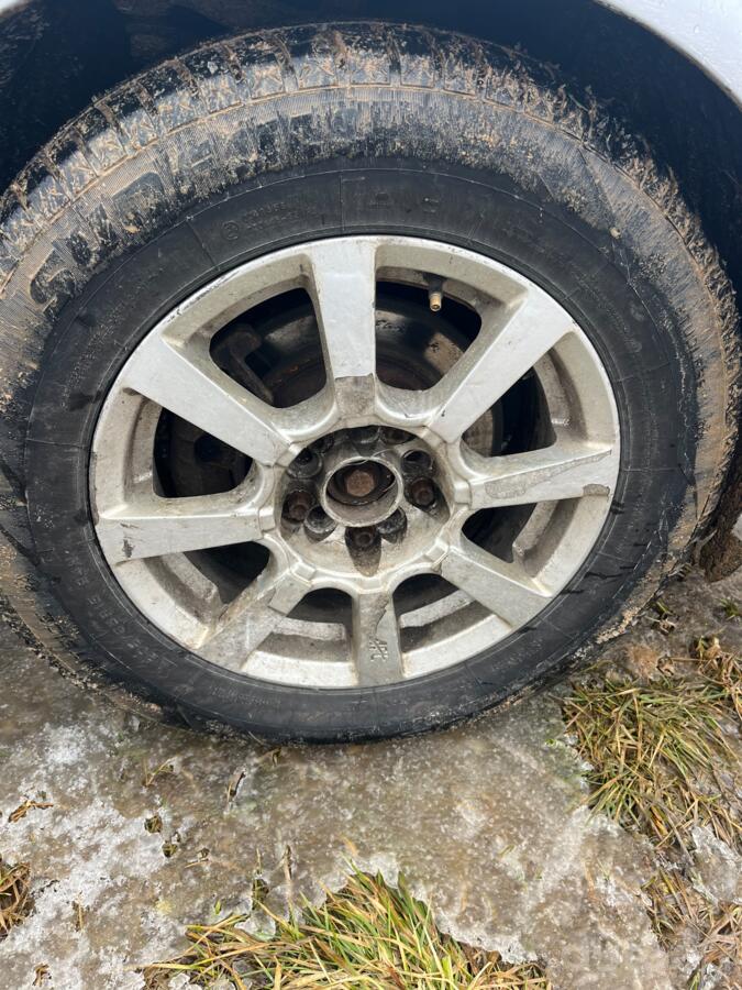 ınne, stop lekki