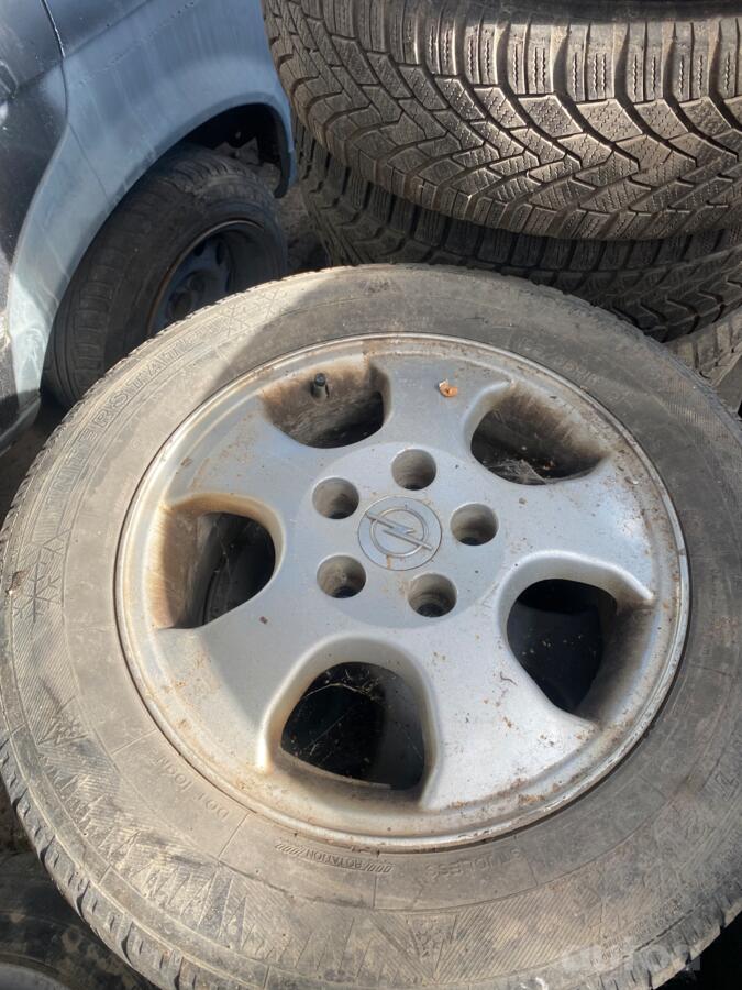 ınne, stop lekki