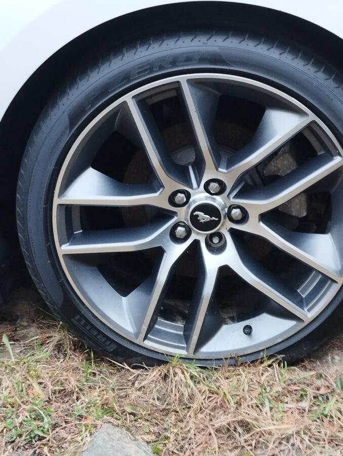 Ford, stop lekki
