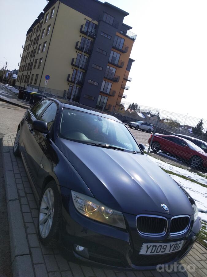 ınne, stop lekki