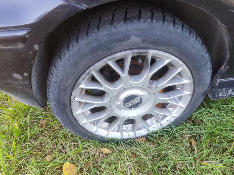BBS, stop lekki
