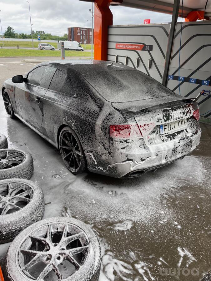 BBS, stop lekki